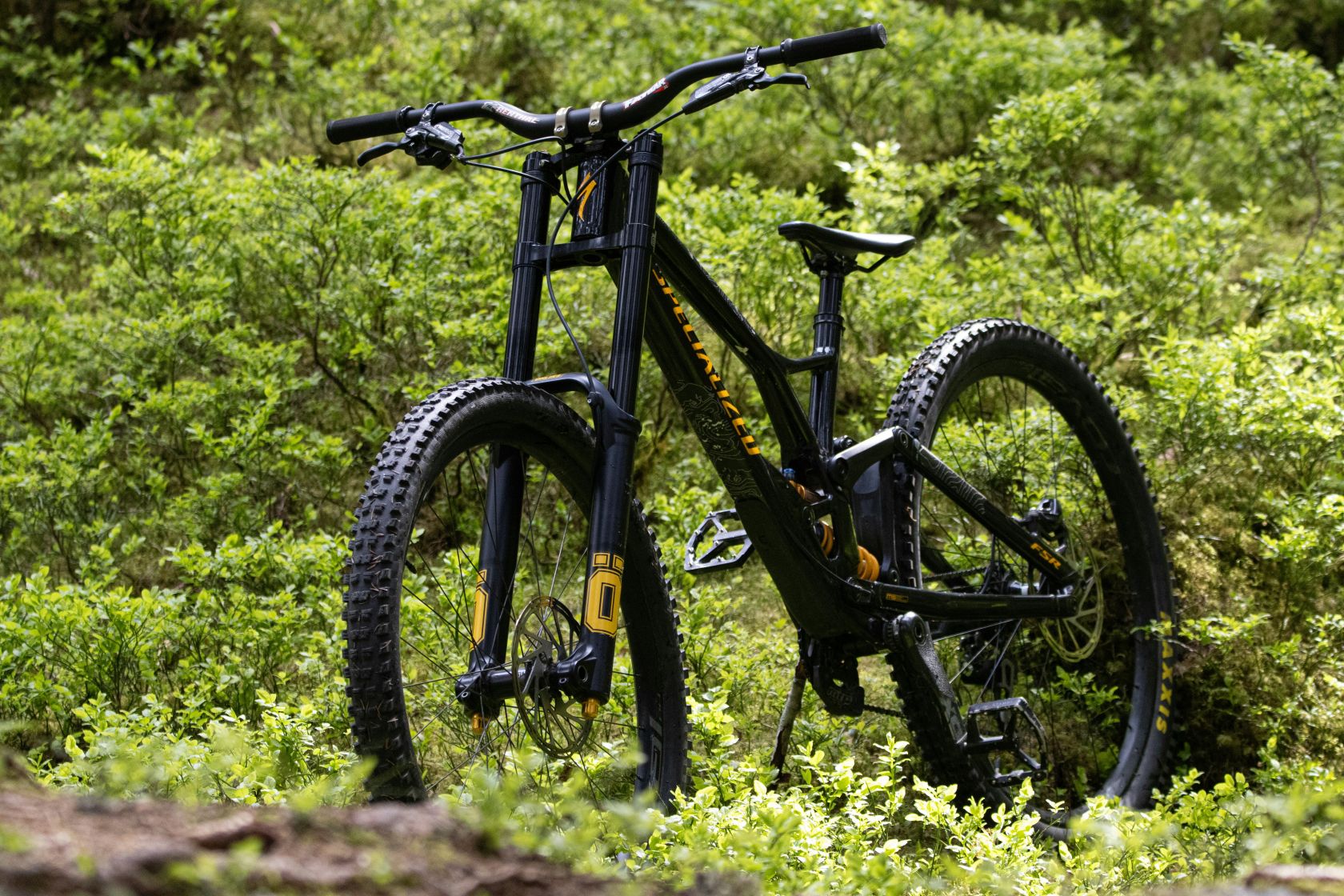 Druhy MTB kol: XC vs. Trail vs. Enduro vs. Sjezd