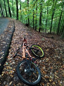 kolo Haro bikes
