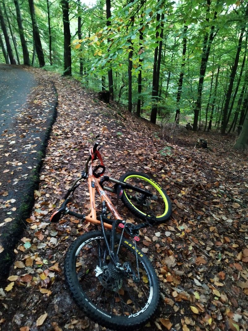 kolo Haro bikes