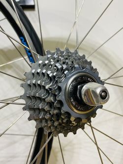 Zapletená kola Campagnolo Proton