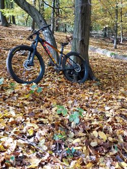 Trek Roscoe 8 2021, velikost M/L