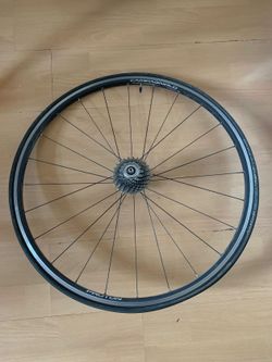 zadní kolo Campagnolo Proton