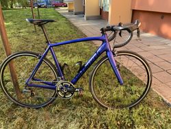 Specialized Tarmac Expert