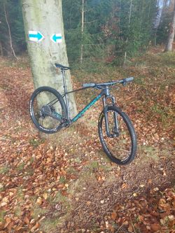 MONDRAKER