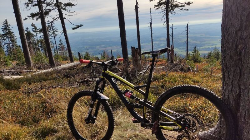 YT Industries capra