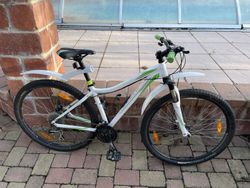 Dámské horské kolo Specialized 29" bílá