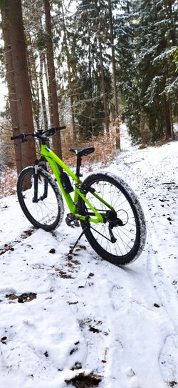ROCKRIDER ST100