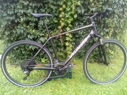 Specialized CrossTrail Elite Carbon
