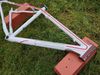Pells Razzer Elite Lady 26" M