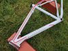 Pells Razzer Elite Lady 26" M
