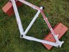 Pells Razzer Elite Lady 26" M
