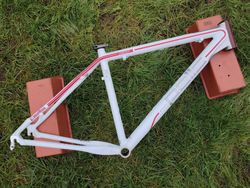 Pells Razzer Elite Lady 26" M