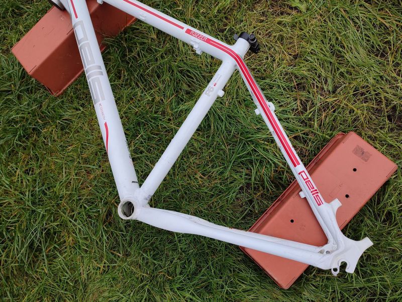Pells Razzer Elite Lady 26" M