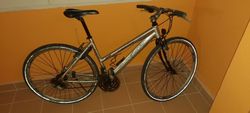 Kolo Bottecchia