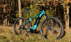 Prodám STEVENS 2021 E-TREMALZO 29" ZELENÁ vel:20" - TESTBIKE