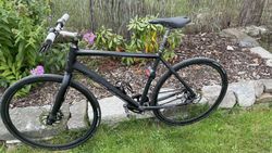 Cannondale Bad Boy solo (2012) 3-speed