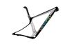 Anne Terpstra 2021 Ghost LECTOR World Cup Carbon Replica (29" L)