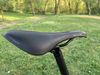 Specialized Diverge SPORT CARBON gloss forest green/ice papaya 2021 - 58