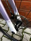 ALL-CITY COSMIC STALLION 55 cm