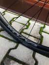 ALL-CITY COSMIC STALLION 55 cm
