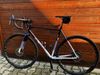 ALL-CITY COSMIC STALLION 55 cm