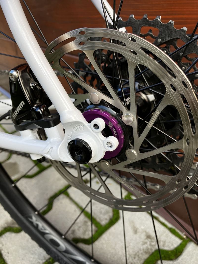 ALL-CITY COSMIC STALLION 55 cm