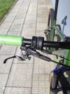 Specialized Chisel Chamelelon Snake 29"-limitovaná edice