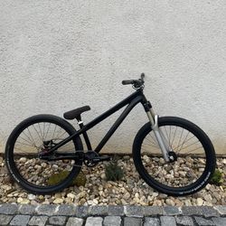 Dirt Specialized p3