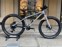 Early Rider Seeker 24"