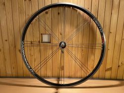 kola Campagnolo Vento
