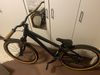 Kellys Whip 30 2020