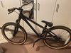 Kellys Whip 30 2020