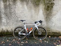 CINELLI Pressure Disc 2022