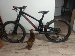 Prodám Enduro Propain (TOP KOMPONENTY)