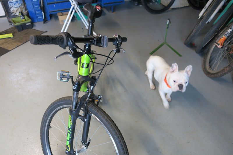 Dema racer 26"