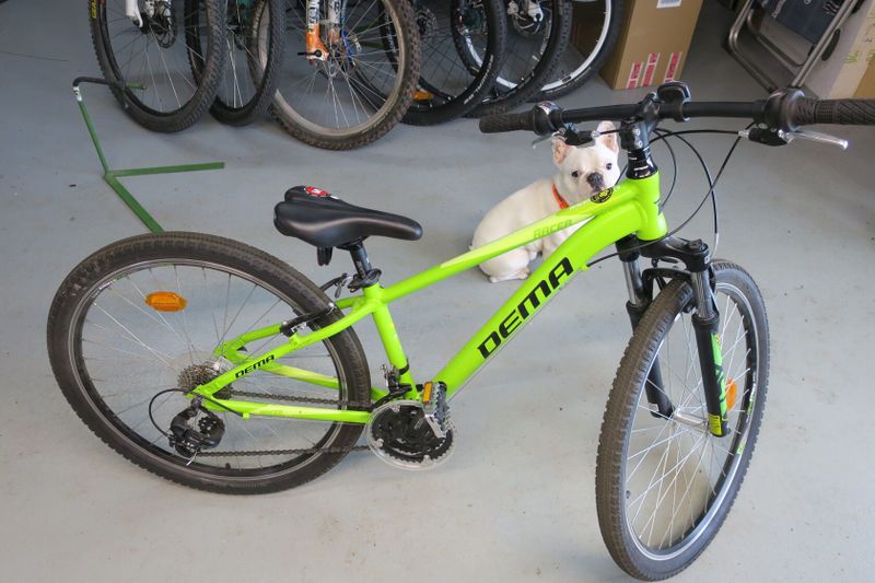 Dema racer 26"