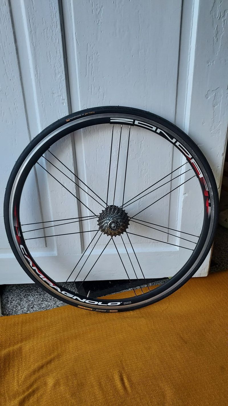 Prodej zapletených silničních kol Campagnolo Zonda