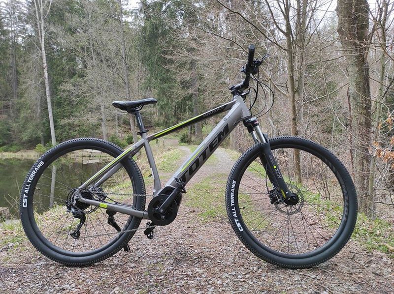 ELEKTROKOLO TOTEM MAURICE 29" šedá