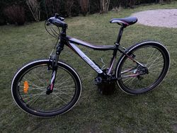 Dámské kolo CTM Charisma 1.0 S 26”