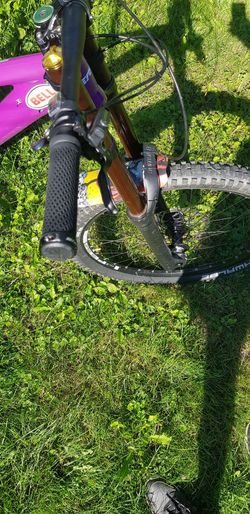 Custom freeride merida
