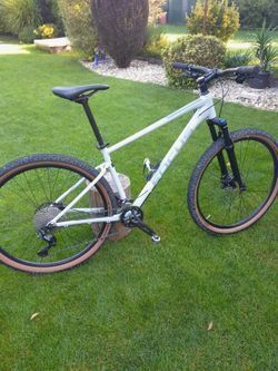 Focus Whistler 3,8