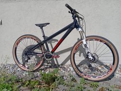 Santa Cruz Jackal