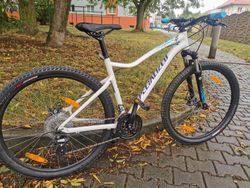 Prodám dámské kolo Specialized 