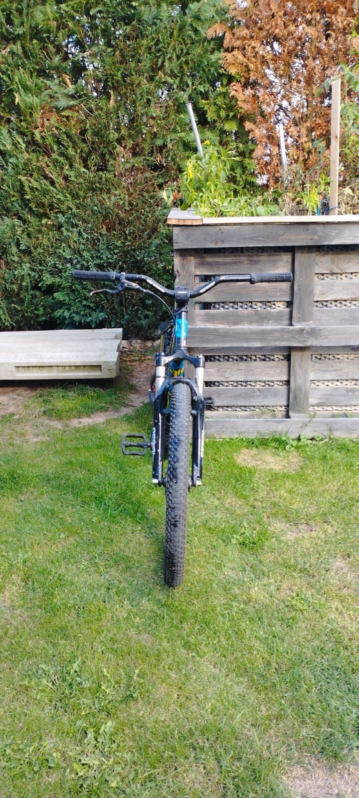 mongoose fireball 24