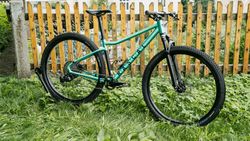 Rascal Wild 29"