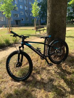 Kross Level 24”
