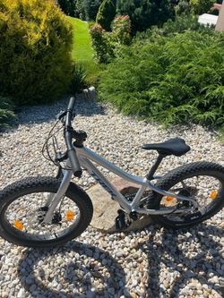 Trek Roscoe 20”