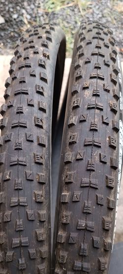Maxxis Forekaster 29x2,35 Exo TR