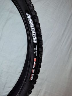 Maxxis Assegai 29" Exo 3C Maxxterra 