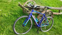 Cannondale Quick 